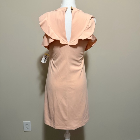 NWT Vince Camuto Pink V-Neck Sleeveless Ruffle Trim mini Dress Women’s Size 4 - Picture 11 of 11